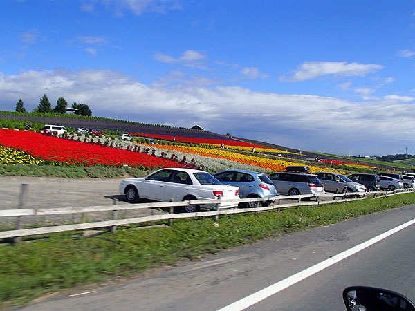 国道２３７号線を南下